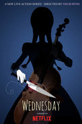 Poster Wandinha - Wednesday - Series