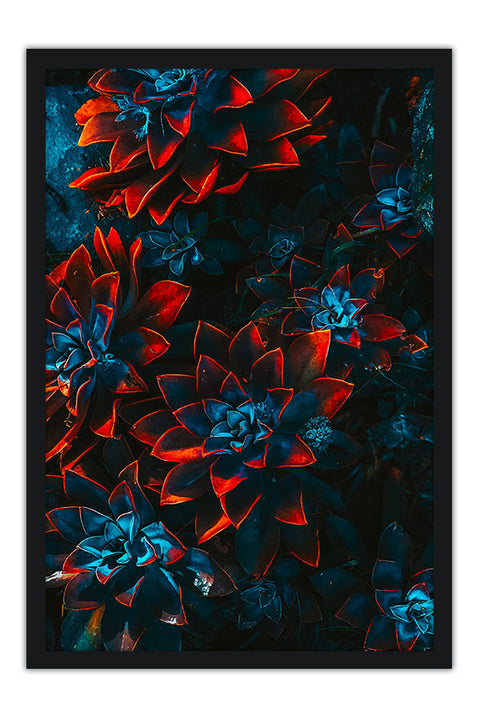 Poster Abstrato - Lotus - Colors - Arte Decorativa