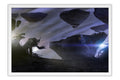 Poster Dark Spore - Games