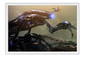 Poster Dark Voip - Games