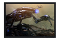 Poster Dark Voip - Games