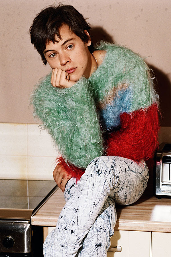 Poster Harry Styles - Former One Direction - Pop