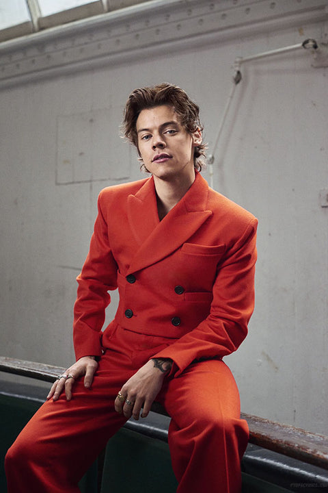 Poster Harry Styles - Former One Direction - Pop