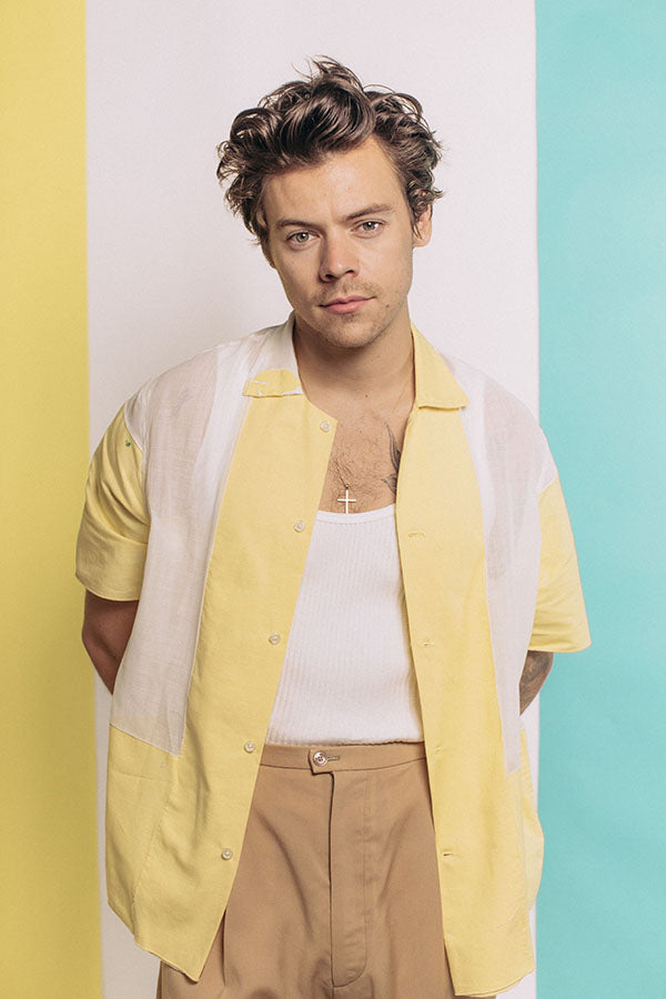 Poster Harry Styles - Former One Direction - Pop