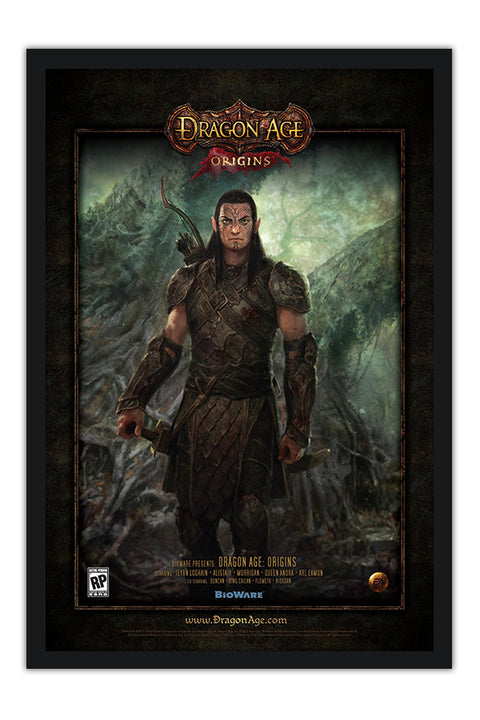 Poster Dragon Age Origins - Games