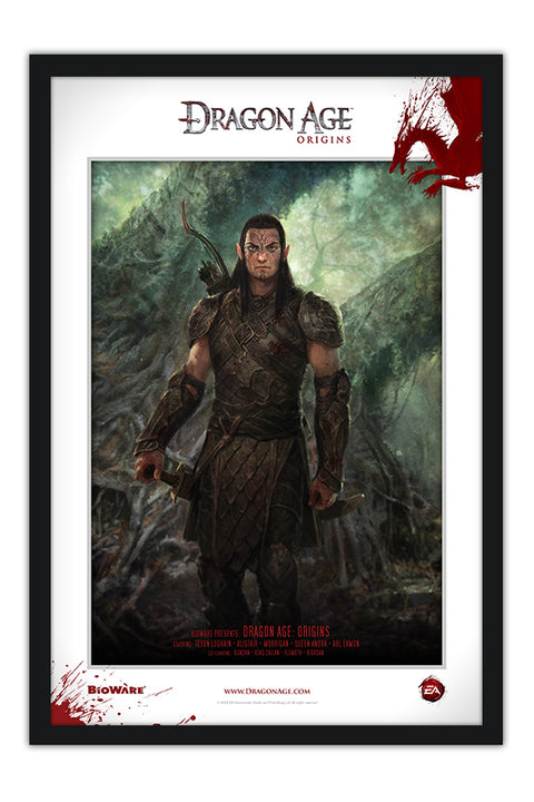 Poster Dragon Age Origins - Games