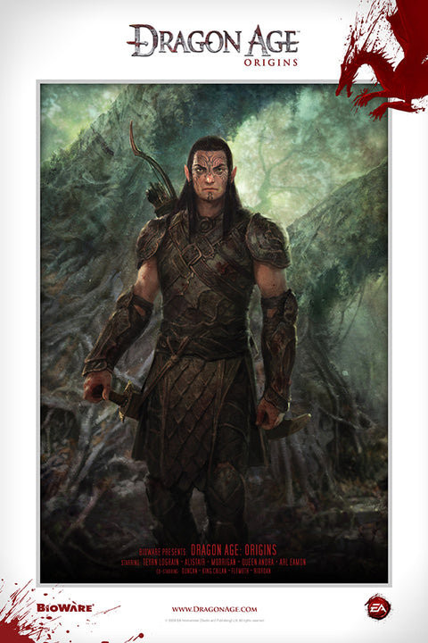 Poster Dragon Age Origins - Games