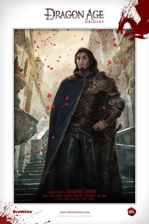 Poster Dragon Age Origins - Games