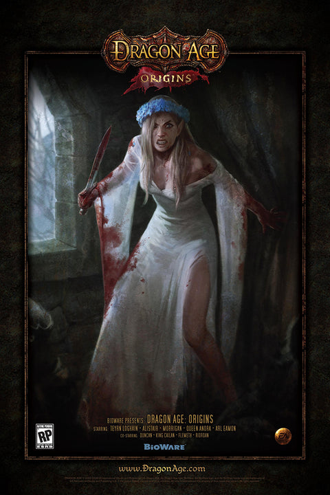Poster Dragon Age Origins - Games