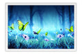 Poster Borboleta - Animais