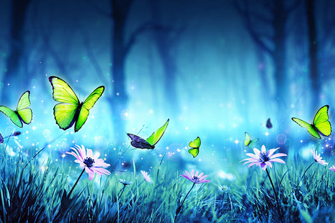 Poster Borboleta - Animais