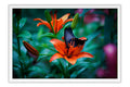 Poster Borboleta - Animais