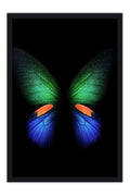 Poster Borboleta - Animais