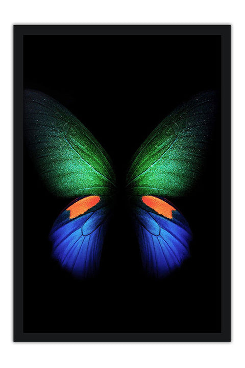 Poster Borboleta - Animais