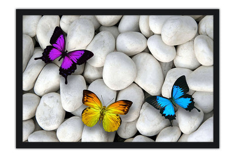 Poster Borboleta - Animais