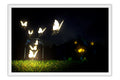 Poster Borboleta - Animais