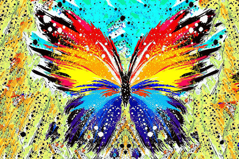 Poster Borboleta - Animais