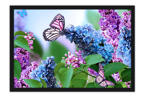 Poster Borboleta - Animais