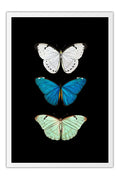 Poster Borboleta - Animais