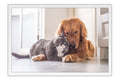 Poster Cachorro - Animais