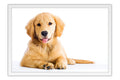 Poster Cachorro - Animais