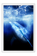 Poster Ecco the Dolphin - Games