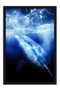 Poster Ecco the Dolphin - Games