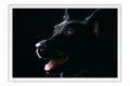 Poster Cachorro - Animais