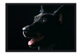 Poster Cachorro - Animais