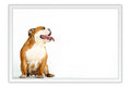 Poster Cachorro - Animais