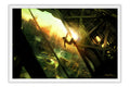 Poster Enslaved - Games