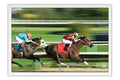 Poster Cavalo - Animais