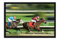 Poster Cavalo - Animais