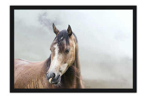 Poster Cavalo - Animais