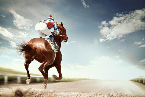 Poster Cavalo - Animais