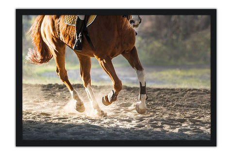 Poster Cavalo - Animais