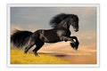 Poster Cavalo - Animais