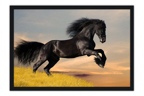 Poster Cavalo - Animais