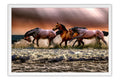 Poster Cavalo - Animais