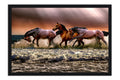 Poster Cavalo - Animais