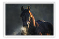 Poster Cavalo - Animais