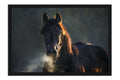 Poster Cavalo - Animais