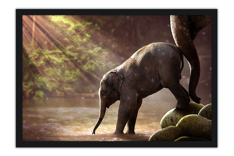 Poster Elefante - Animais
