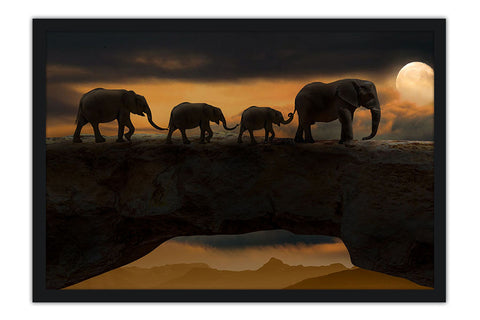 Poster Elefante - Animais