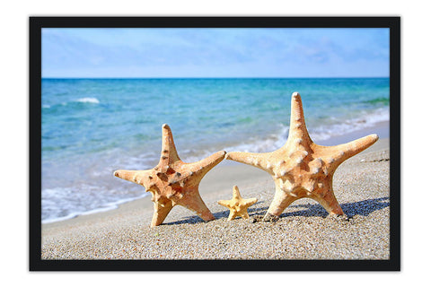 Poster Estrela Do Mar - Praia - Animais
