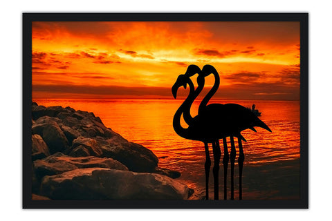 Poster Flamingo - Animais