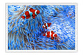 Poster Peixes - Animais