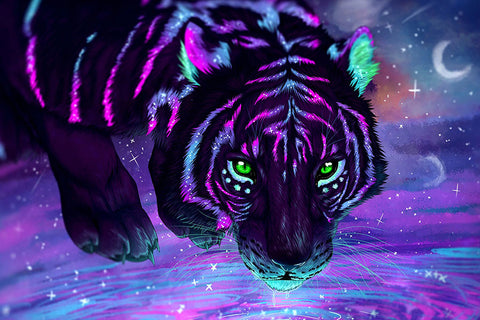 Poster Tigre - Animais