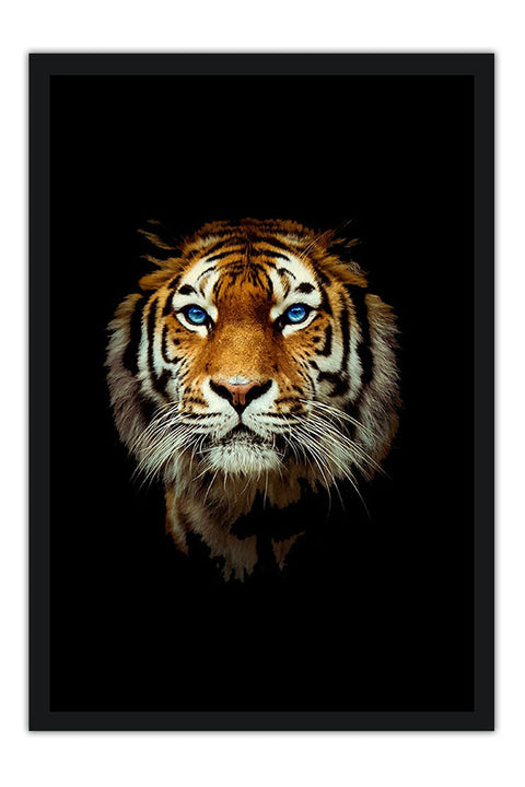 Poster Tigre - Animais