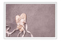 Poster Ballet - Dança